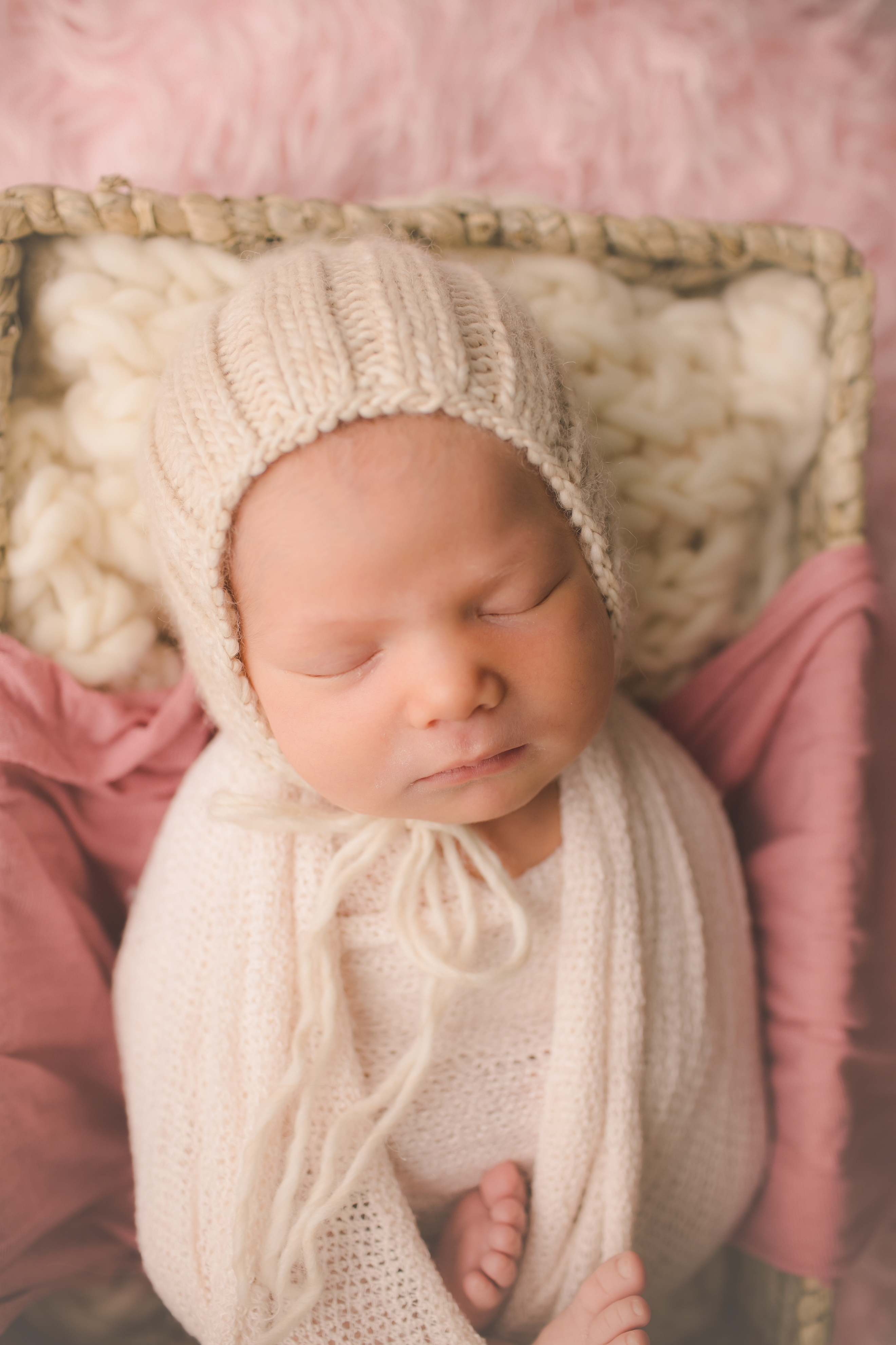 Tampa Newborn Photographer | Lady in Pink