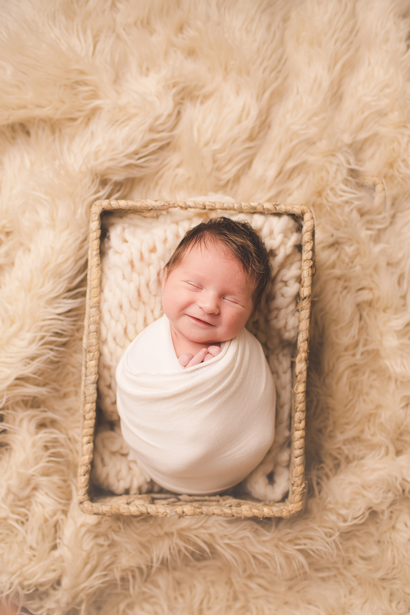 Orlando Newborn Photographer | Mini Session