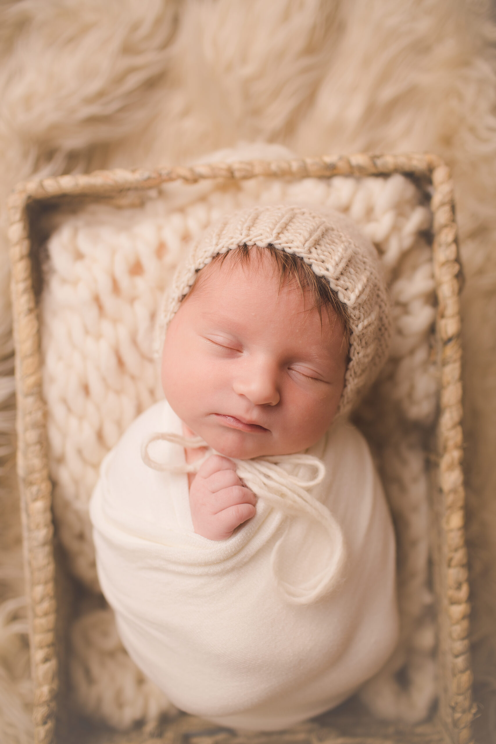 Orlando newborn photographer, orlando newborn photographer, orlando baby photographer, Orlando maternity photographer, winter park newborn photographer, best photographer in orlando